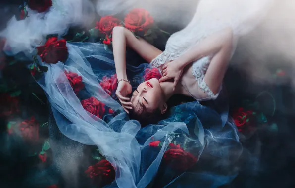 Picture girl, flowers, red, style, the dark background, roses, dress, lies