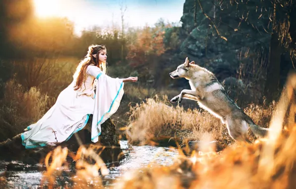 Picture wolf, elf, Wolf with elves princess