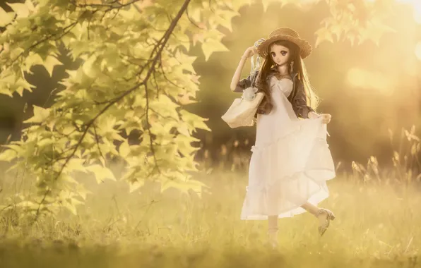 Summer, doll, dress, hat, lady