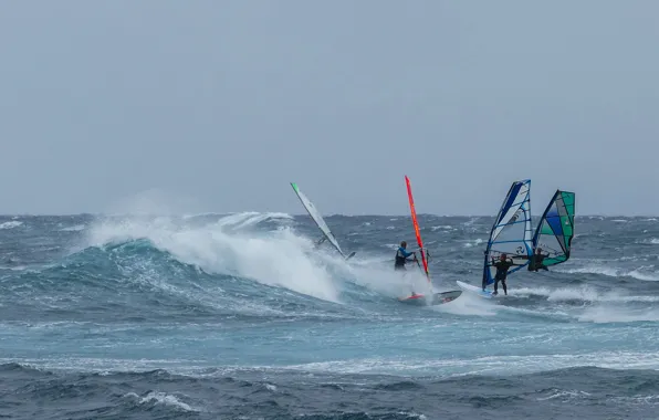 Sea, wave, the wind, sail, Board, regatta, Windsurfing