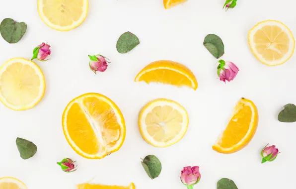 Orange, roses, citrus, rose, buds, pink, leaves, slices