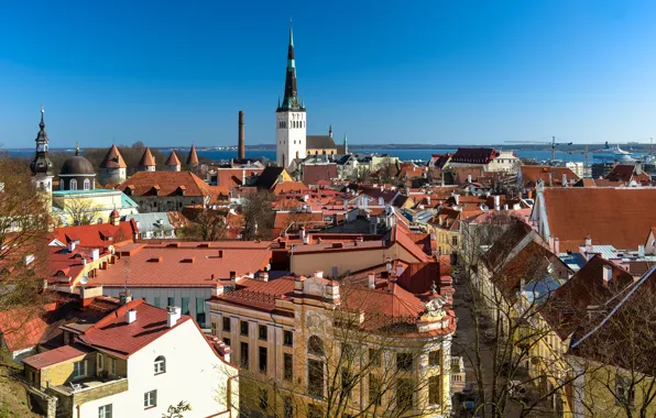 Picture building, home, roof, Estonia, Tallinn, panorama