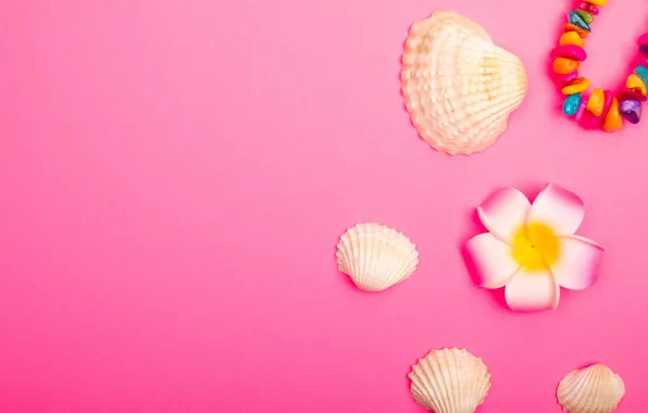 Flower, background, pink, color, texture, bracelet, shell, stones