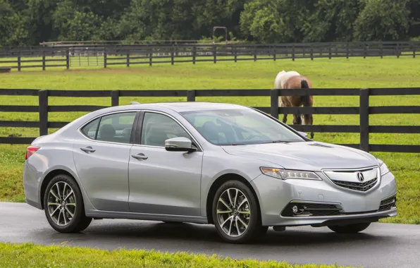 Sedan, acura, tlx