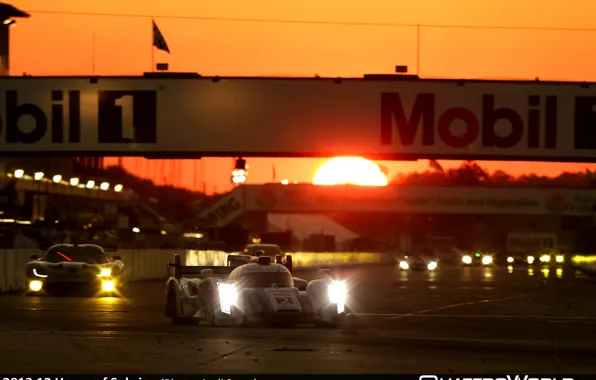 The sun, sunset, Audi, audi, sport, track, race, LMS