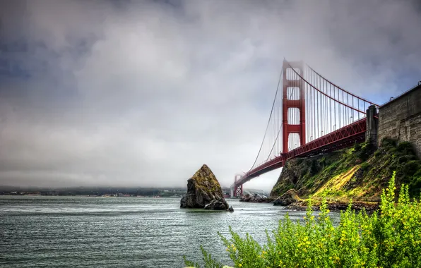 Sea, the sky, clouds, flowers, bridge, rock, San Francisco, Golden gate