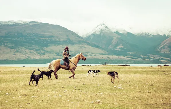 Mountains, lake, woman, horse, dog