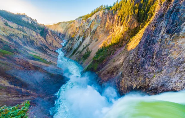 Picture forest, landscape, mountain, grand, famous, if, lower, gorge