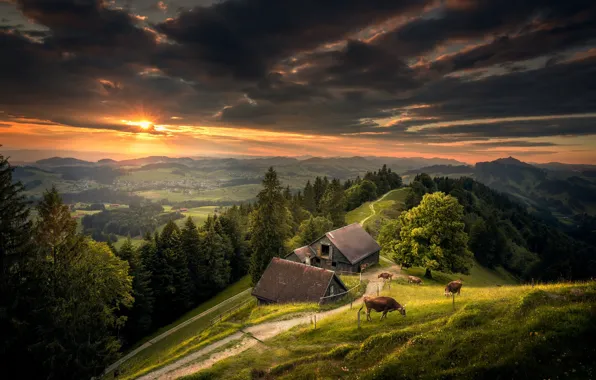 Clouds, mountains, hills, cows