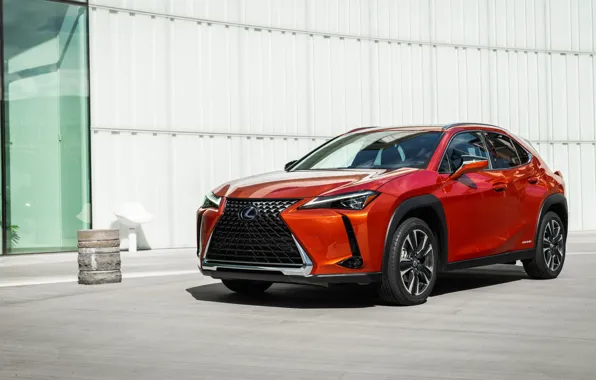 Lexus, crossover, Lexus UX, 2019, 250h