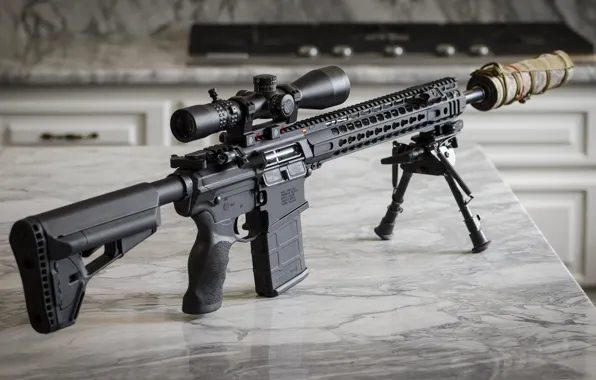 Picture weapons, assault rifle, SPR, MEGA 308