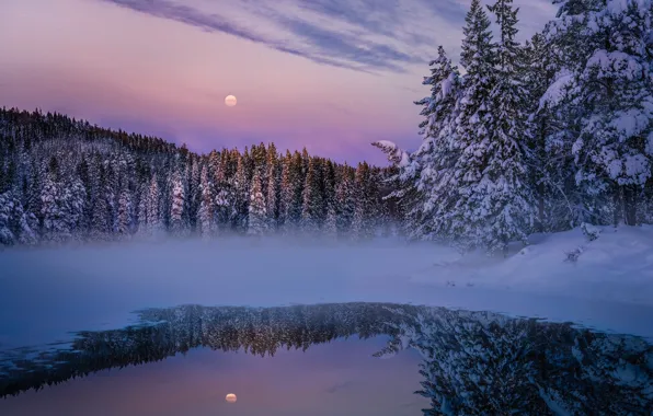 Winter, forest, snow, nature, lake, the moon, the evening, haze