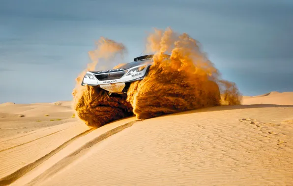 Sand, Sport, Speed, Race, Peugeot, Lights, Red Bull, Rally