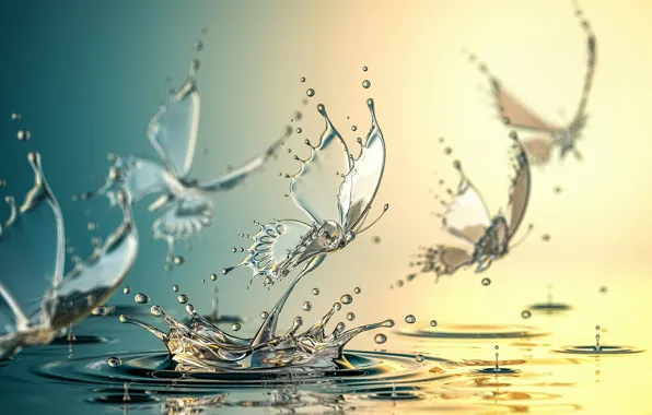 Water, butterfly, squirt