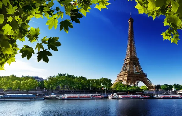 Picture trees, the city, river, photo, Paris, Eiffel tower