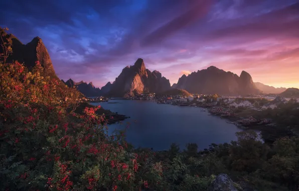 Sea, landscape, sunset, mountains, vegetation, village, Norway, The Lofoten Islands