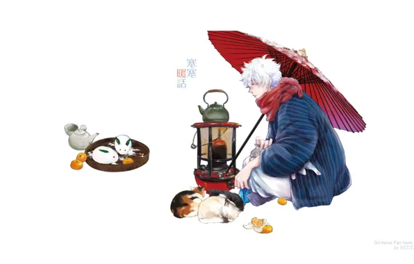 Snow, cats, umbrella, scarf, kettle, plate, white background, guy