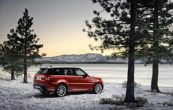 Winter, trees, photo, Land Rover, Range Rover, car, Range Rover Sport, Burgundy