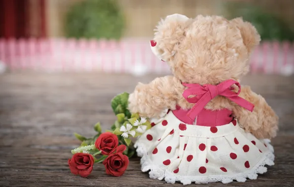 Picture love, flowers, toy, roses, bouquet, bear, love, bear