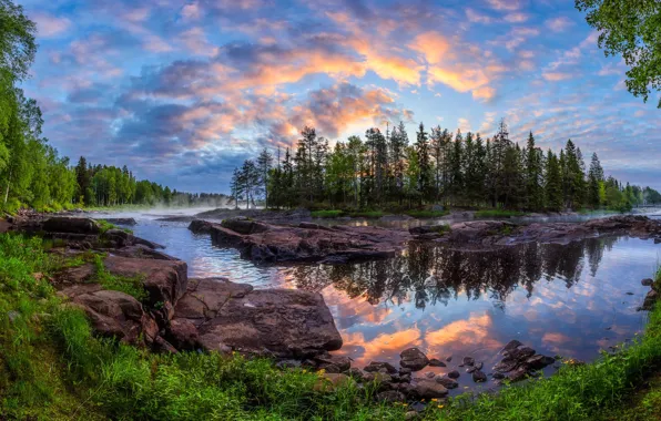 Forest, trees, reflection, river, dawn, island, morning, Finland