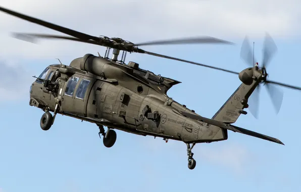 Flight, helicopter, multipurpose, Sikorsky