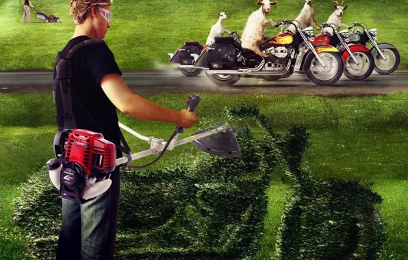 Grass, motorcycles, goats, lawnmower