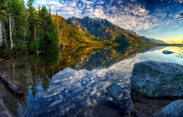 Forest, trees, mountains, lake, reflection, stones, shore, USA