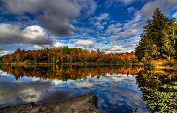 Autumn, forest, the sky, clouds, trees, river, Canada, Quebec