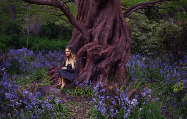 Picture girl, trees, flowers, roots, petals, dress, Lichon, Beacon Hill