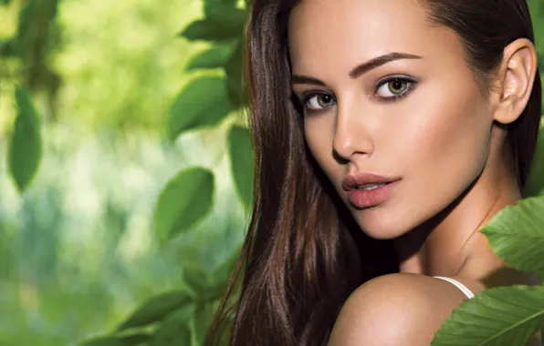 Picture look, leaves, face, background, model, beauty, chic