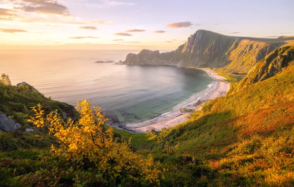 Picture sea, shore, morning