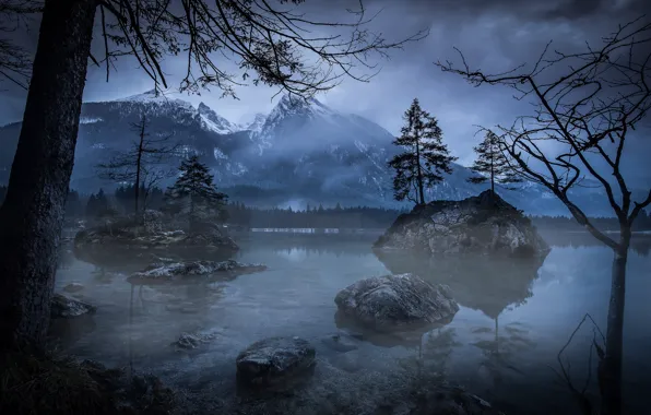 Picture trees, mountains, night, nature, lake, the evening