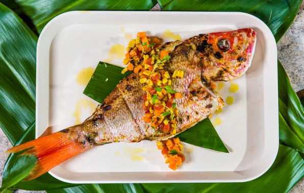 Fish, corn, plate, garnish