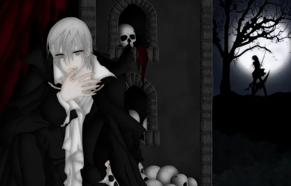 Girl, night, guy, Vampire Knight, vampire knight
