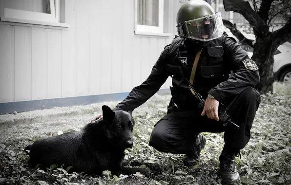 Dog, mask, soldiers, helmet, special forces, OSN Saturn