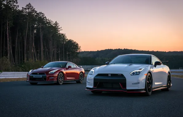 Road, white, trees, red, nissan, red, white, Nissan