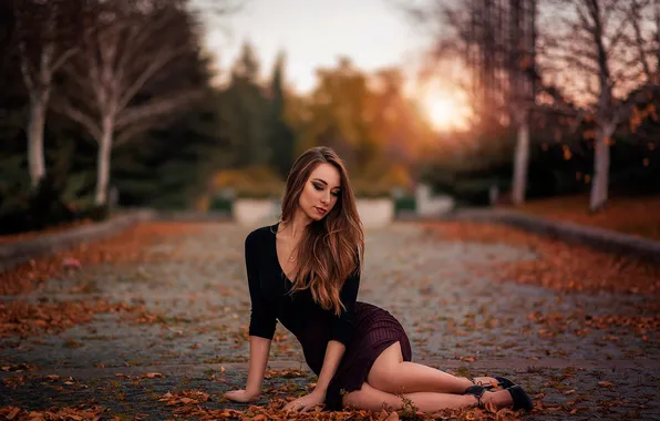 Picture leaves, skirt, legs, the beauty