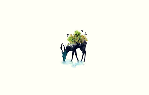 Greens, trees, birds, earth, green, earth, silhouette, Deer