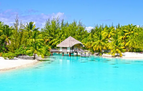 Wallpaper beach, palm trees, Laguna, Bungalow, blue lagoon, bora-bora ...