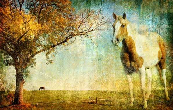 Landscape, canvas, photo, tree, horse, horse, texture, horizon