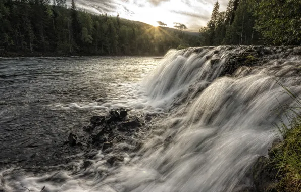 Forest, the sun, rays, light, river, stones, rocks, shore
