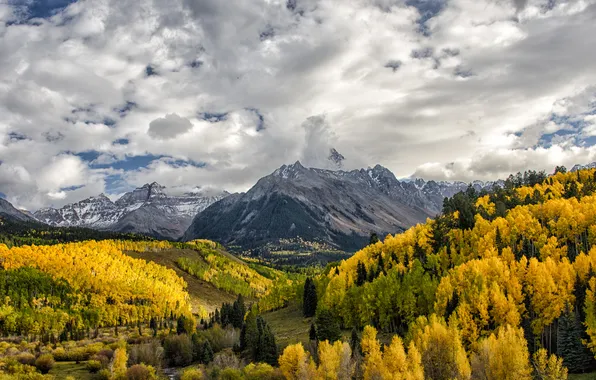 Autumn, forest, clouds, mountains, Colorado, Colorado