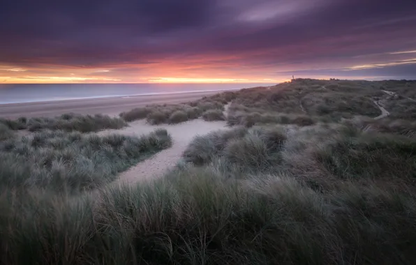 Sand, sea, beach, the sky, grass, clouds, dawn, shore