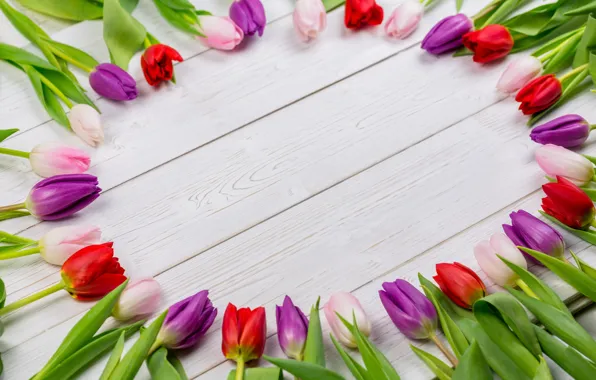 Picture flowers, colorful, tulips, red, white, wood, flowers, tulips