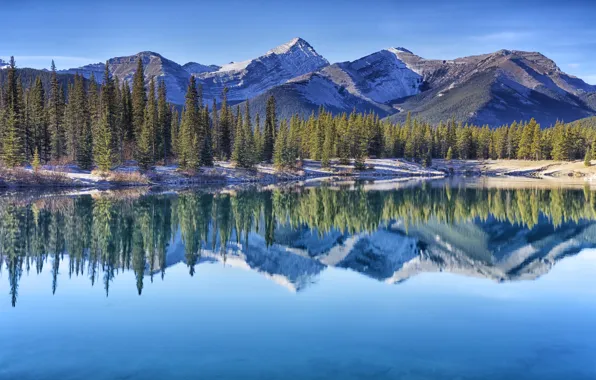 Trees, mountains, lake, reflection, Canada, Albert, Alberta, Canada