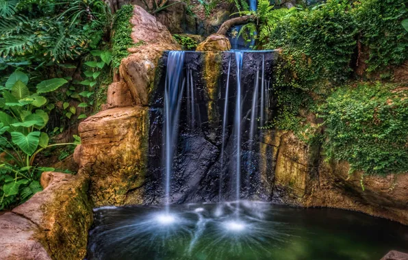 Water, rock, Park, waterfall, HDR, plants, rock, nature