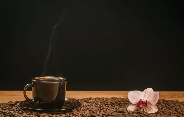 Flowers, table, coffee, hot, grain, pair, Cup, drink