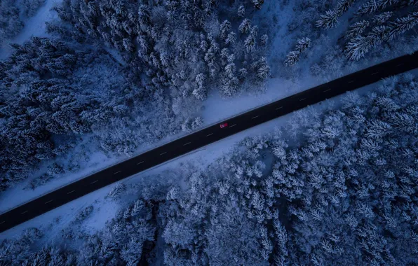 Picture winter, road, machine, forest, snow, trees, the view from the top