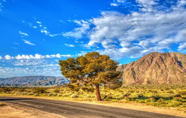Road, the sky, the sun, clouds, trees, hills, HDR, CA