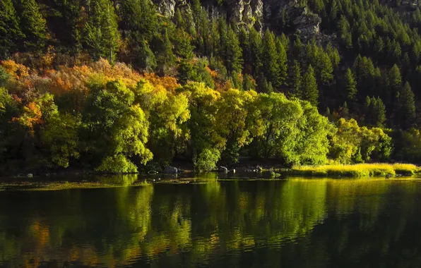 Autumn, lake, Utah, USA, USA, autumn, lake, Utah